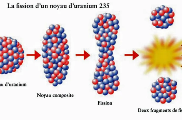 Fission d'un noyau d'uranium 235